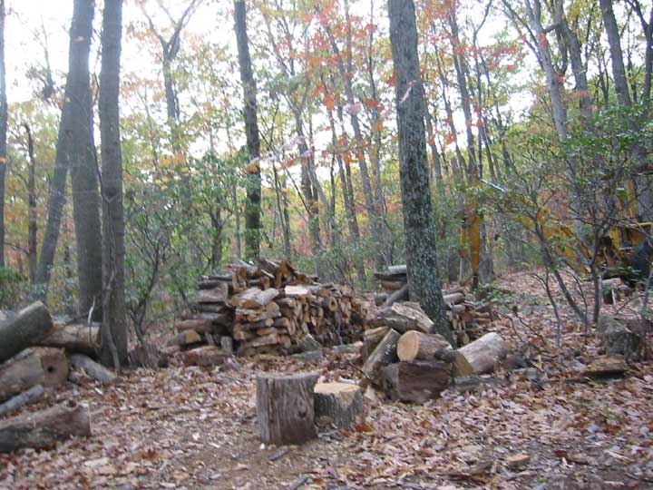 Firewood stockpile