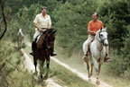 Maryland Cabin  Horse Riding Presidents Reagan & Bush
